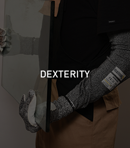 DEXTERITY