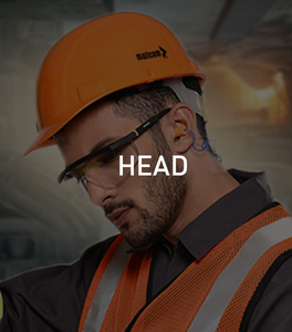 Head