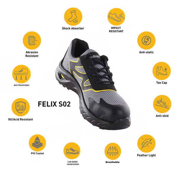 FELIX S02