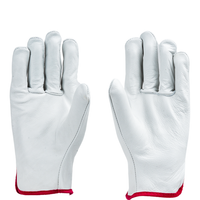 Front view of D232 safety gloves featuring reinforced leather construction and comfortable cotton lining.