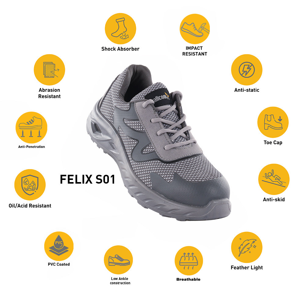 FELIX S01
